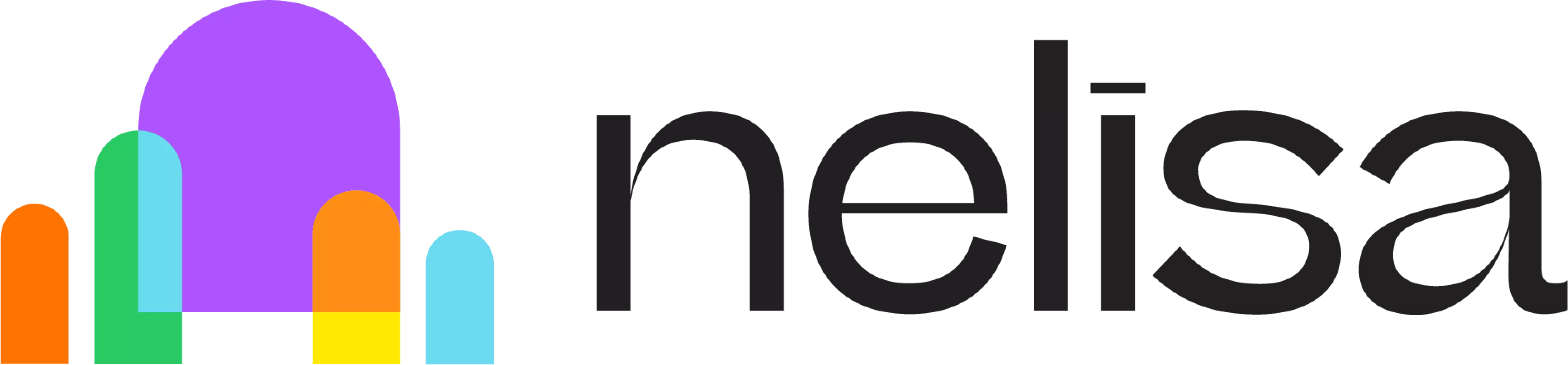 nelisa-logo.png
